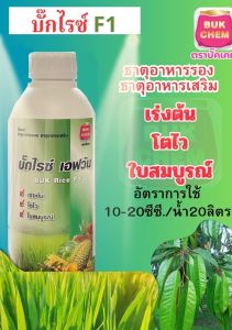 #อะมิโนข้าว ( บั๊คไลซ์ F1 ) สูตรบำรุงต้น ตราดวงตะวันเพชร ขนาด 1 ลิตร กอใหญ่ ใบตั้ง เขียวนาน