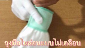 ถุงมือผ้าไนล่อนแบบ ไม่เคลือบยาง(100บ./โหล)1โหล=12คู่.