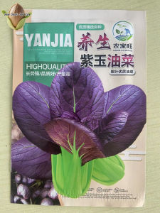 Purple Pechay Pak Choi Vegetable Seeds ( 500 seeds/pack )-Purple PAKCHOI VEGETABLE SEEDS-A718