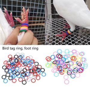Gói của 100 đầy màu sắc chim bồ câu chân nhẫn cho hiệu quả đào tạo và quản lý với cao su