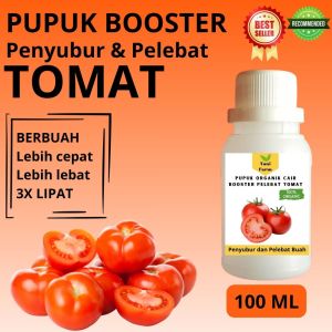 Pupuk Tomat Cepat Berbuah / Pupuk Pelebat Buah Tomat / Pupuk Booster Tomat Cair