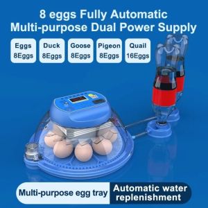 CELOGLO 8/26/52 Automatic Egg Incubator Intelligent Digital Hatcher Brooder with Temperature Control