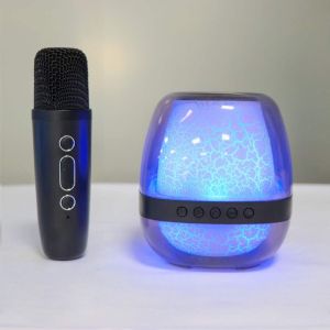 Portable Bluetooth Speaker Colorful Lights New Karaoke Wireless Speaker with Free Microphone 3D Stereo Home KTV Speaker Subwoofer