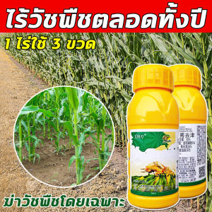 วัชพืชยาชุดข้าวโพด ยาฉีดทับข้าวโพด สารกำจัดวัชพืช 100g เข้มข้นสุดๆ ฆ่าหญ้ารอบข้าวโพด กำจัดหญ้าในไร่ข้าวโพด​​ กำจัดวัชพืชเท่านั้น ไม่ทำลายข้าวโพด ยารัวข้าวโพด อาทราซีน90 อะทราซีน อาทาซีน90