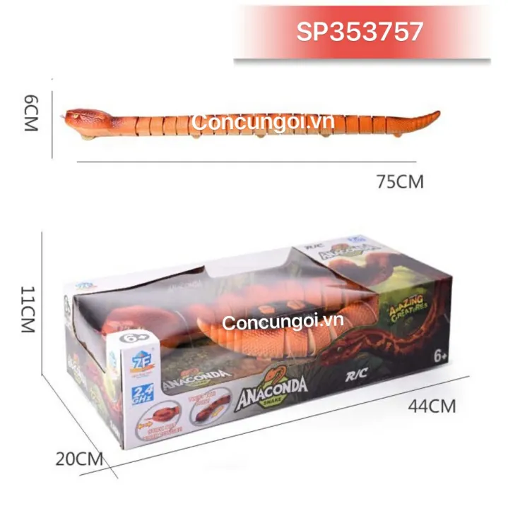 %C4%90%E1%BB%93%20ch%C6%A1i%20r%E1%BA%AFn%20%C4%91i%E1%BB%81u%20khi%E1%BB%83n%20kh%E1%BB%95ng%20l%E1%BB%93%20-%20Image%204