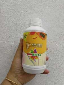 Penggalak Buah-buahan