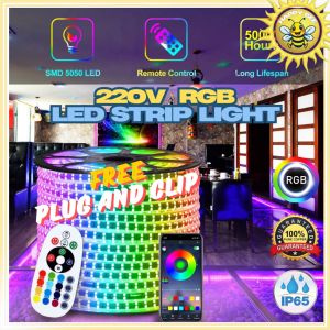 RGB LED Strip Light Remote App 220V SMD5050 Waterproof Flexible lights 60leds/m with Remote Controller
