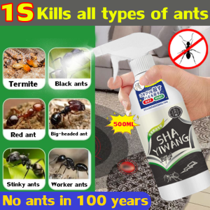 No ants within 1000 meters ant killer spray One infected and the whole litter died ants killer Plant formula safe and non-toxic anti ant spray Ant repellent Use in multiple scenarios Ants killer bait Ubat semut 蚂蚁喷雾 蚂蚁药