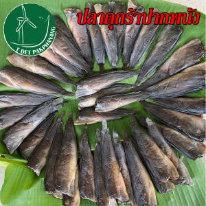 ปลาดุกร้า 3 กิโลกรัม คละไซส์ จำนวน 24-30 ตัว ปลาดุกร้าปากพนัง