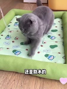 Washable Cooling Pet Bed For Cats & Dogs Summer Ice Sleeping Pad Four Seasons Universal Cool Bed for Small Dog Cat