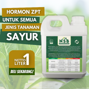 Pupuk Obat Semprot ZPT Sayuran Penyubur Pelebat Pembesar Penumbuh Penguat Akar Daun Bunga Buah Cair