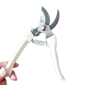 Kéo Cắt Cành Lưỡi Cong Cán Trắng CHiều Dài 175mm Chuyên Dùng Cắt Tỉa Tạo Hình Cây Cảnh Bon Sai Chăm Sóc Vườn Tược