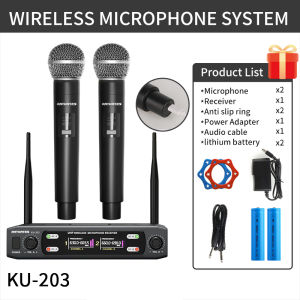 RAYHAYES Professional Wireless Home Entertainment Microphone System Karaoke