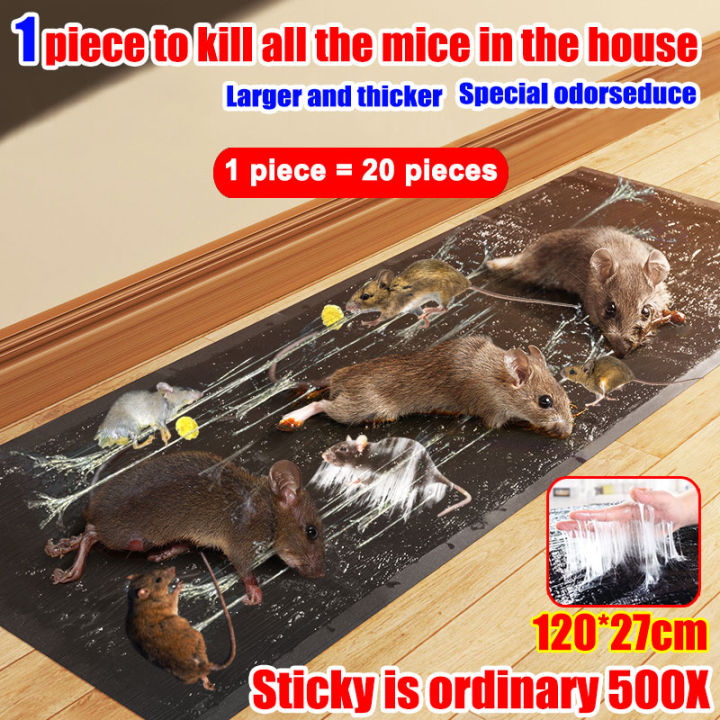 🔥Super Strong Adhesion🔥 120*27cm Anymore Mouse & Rat Trap Glue Board ...