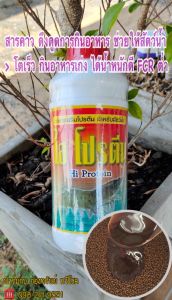 ไฮโปรตีน Hi Protein โปรตีนเสริม โปรตีนสกัด สารคาว อาหารเสริมเร่งโต อาหารเสริมสัตว์น้ำ โปรตีนผสมอาหารปลา อาหารเสริมกระตุ้นการกิน สารคาวดึงดูดการกิน