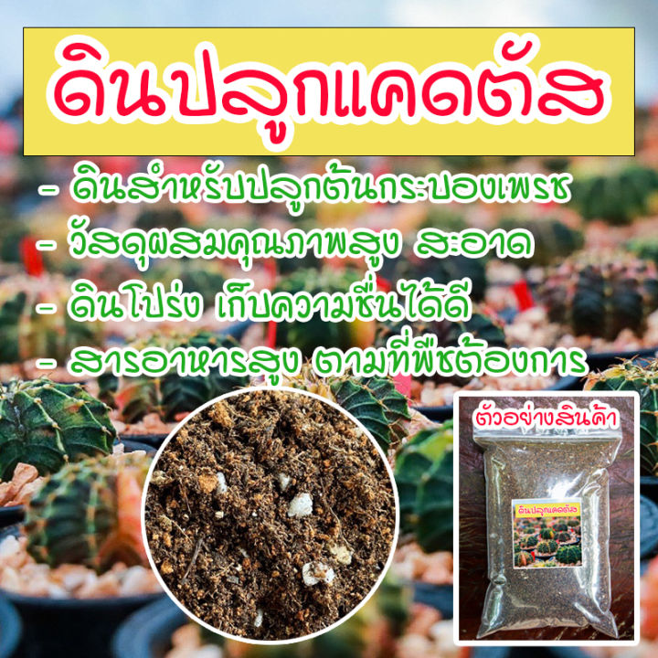 10 อันดับดินปลูกและวัสดุเพาะปลูกยอดนิยมสำหรับคนรักต้นไม้ปี 2025