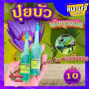 ปุ๋ยบัว (แพ็ค 10 ขวด)🌼 ปุ๋ยน้ำไฮโดรโปนิกส์ 38 ml. บำรุงทุกส่วน ราก ใบ ต้นแข็งแรง ปุ๋ยบัวเร่งโต ปุ๋ยไม้น้ำทุกชนิด💦 Garden_rich