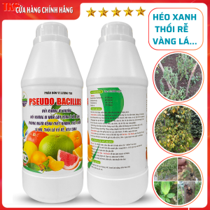 Pseudo Bacillus Chế Phẩm Trừ Bệnh Héo Xanh Vàng Lá Thối Rễ - Chai 1 Lít