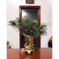 50 Lông công phong thủy. 