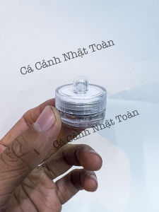 "Hoàn tiền đến 10%" ĐÈN LED MINI BỎ HỒ CÁ TỰ ĐỘNG ĐỔI MÀU CHO HỒ LOGO MAKE RELAX TIMES