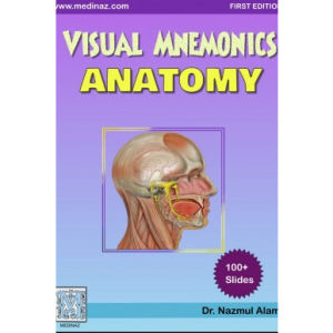 Visual Mnemonics: Anatomy
