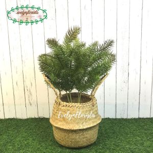 Tanaman Hias Daun Pinus Cemara Tangkai X4 Latex Artificial Cover Pot Anyaman Purun Belly Handle Pohon Pajangan Dekorasi