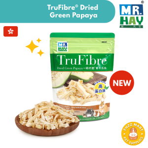 Mr. Hay TruFibre Dried Green Papaya (50g) for Guinea Pigs and Rabbits