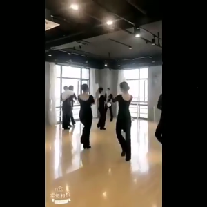 Womens Feather Fan Photography and Travel Companions Women‘s ’Costume Dance Parties Feather Fan 1920s Vintage Fans