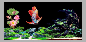 Tranh Bể Cá 3D Decal Dán Hồ Mẫu Hoa Sen Đá Cây Phù Hợp Cá Koi Sư Tử Cá Rồng Tặng Tem Cảnh Báo