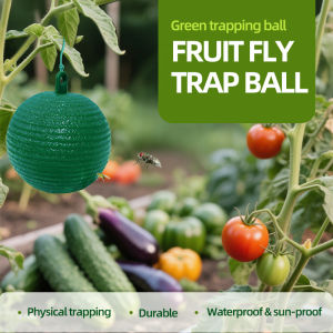 5 Green Sticky Fly Balls 80mm for Plants Trees Flying Insects Indoor & Outdoor Pest Control Sticky Fly Traps