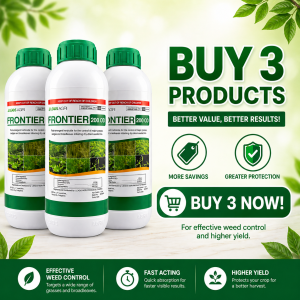 Frontier Herbicide 200 OD 1L for Post-Emergent Weed Control in Rice Fields