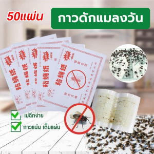 กาวดักแมลงวัน50 pcs ปลอดภัย แผ่นดักแมลงวัน 13x20 ซม ใช้งานง่าย ที่ติดแมลงวัน กาวแน่น มีสารล่อแมลง แผ่นติดแมลงวัน ที่ดักแมลงวัน แผ่นดักแมลงวัน กาวติดแมลงวัน แผ่นกาวดักแมลงวัน แผ่นแปะแมลงวัน กาวแมลงวัน แผ่นกาวแมลงวัน