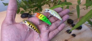 Umpan Minnow Sinking 5Cm 6gr: Panduan Lengkap