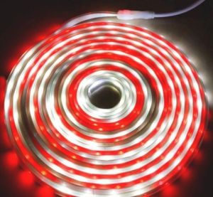 LAMPU LED STRIP RGB DAN MERAH PUTIH 2835 AC 220V/ WARNA-WARNI KEDIP AC 220V
