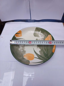 (mua 10c tặng 1c cùng loại) dĩa sứ tròn hoa tulip dĩa sứ trắng kích thước 22.5cm dĩa bóng đẹp hoa tulip sang trọng