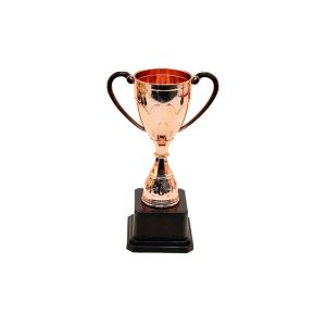 DOOUR Multi Style Plastic Trophy Small Size Plastic Material Mini Trophy Party Filler Gift Trophy Model Award Trophies Childrens Dance Competition
