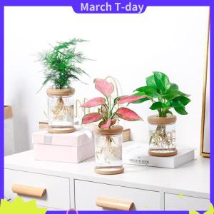 March ขี้เกียจโปร่งใสกระถาง hydroponic ดูดซึมน้ำอัตโนมัติ