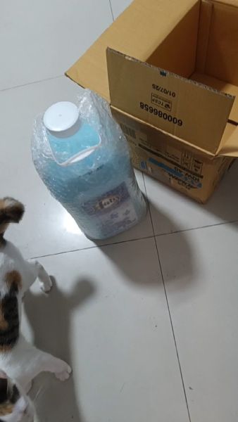Buyer review video 2