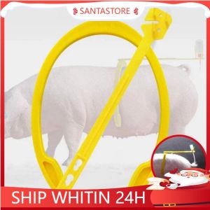 Big Size Pig Insemination Clip Holder Sows Artificial Insemination Auxiliary Clamp