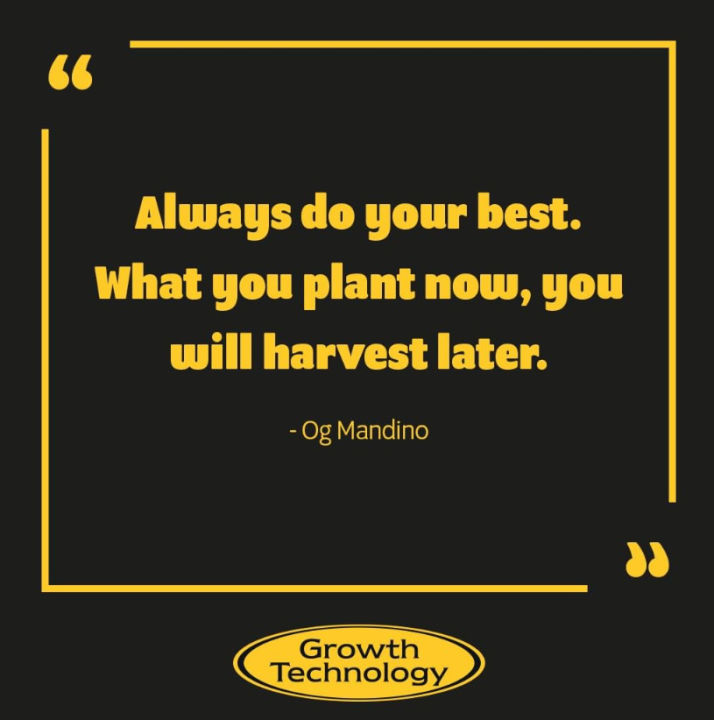 Growth%20Technology%20Rose%20Focus%20300ml%20Rose%20Fertilizer%20with%20Seaweed%20Contains%20All%20Essential%20Nutrients%20Ideal%20for%20Indoor%20and%20Outdoor%20Roses%20-%20Image%204