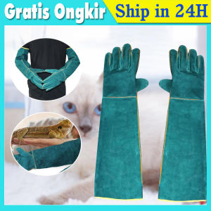 Sarung Tangan Anjing Burung Elang Anti Scratch Bite Pet Glove