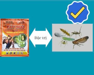 Rày Thái Gói 20g - Giải Pháp Trị Rầy Rệp Hiệu Quả Bảo Vệ Cây Trồng Toàn Diện