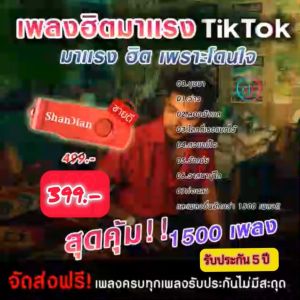 แฟลชไดร์ฟแท้ USB - MP3 เพลงฮิต TikTok ติ๊กต็อก 2024 เพราะติดหู คัดพิเศษ มากกว่า 1000 เพลง