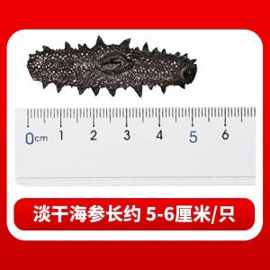 现货淡干海参大连淡干海参正宗淡干小海参干货非即食海参可泡发海参QWHG