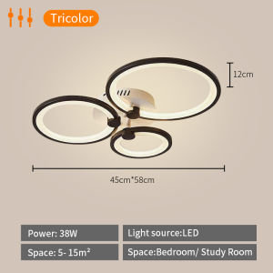 【RNG-LIGHTING】Modern Ceiling Lamp Ceiling Light Nordic Lights Center Light Ceiling Lights
