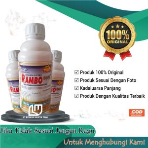 Rambo 480 SL Herbisida Sistemik Pembasmi Rumput 1 Liter