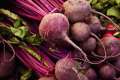 RED BEET SEEDS (15PCS SEEDS) - RED MAGIC/HYBRID/REMOLATSA/CAN GROW IN LOCAL. 