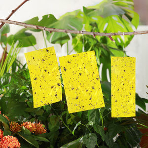 Strong Flies Traps Bugs Sticky Board Yellow Double-Sided Sticky Insect Board