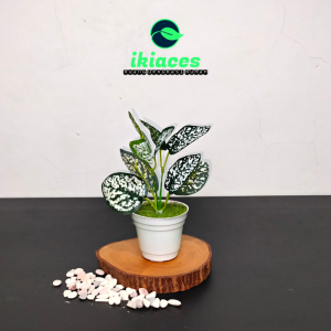 DAUN KELADI ARTIFICIAL BUNGA PLASTIK HIAS TANAMAN ARTIFISIAL BUNGA ARTIFICIAL DAUN RAMBAT DAUN HIAS BUNGA HIAS DEKORASI RUMAH HOME DECOR MURAH