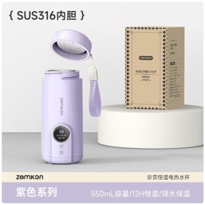 SG Ready Stock Portable Electric Water Bottle 550ML Fast Boil 316 Stainless Steel Adjustable Temperature Travel Mug